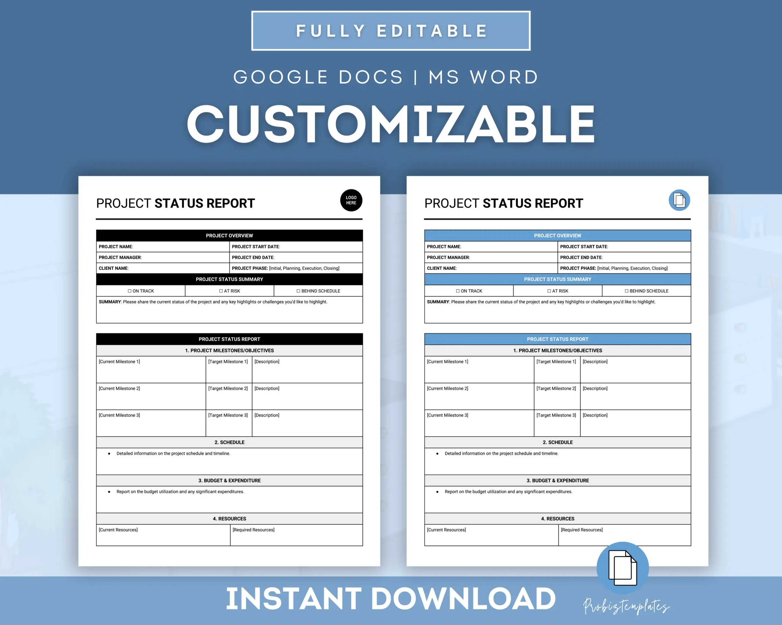 Project Status Report Template - Image 3