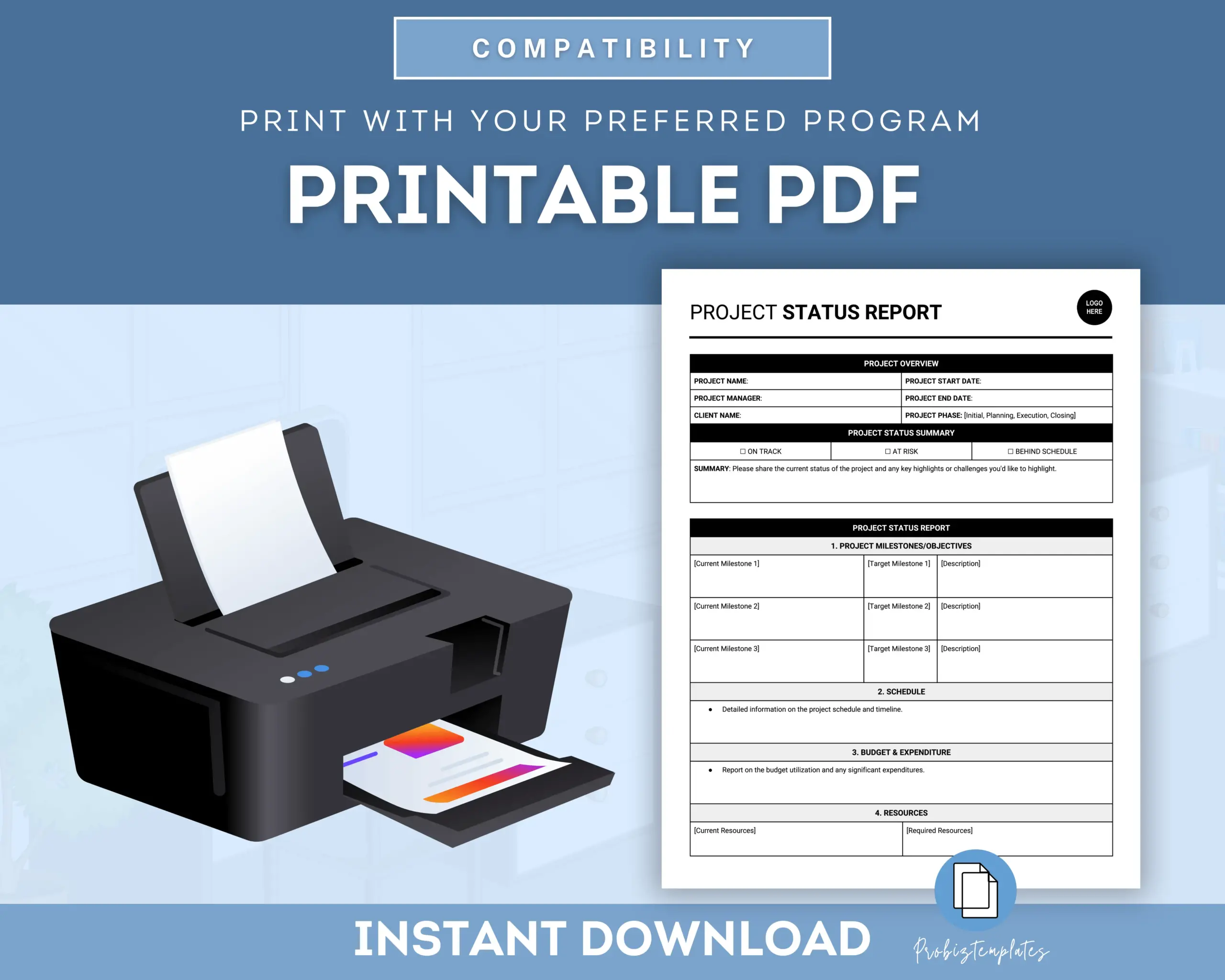 Project Status Report Template - Image 6