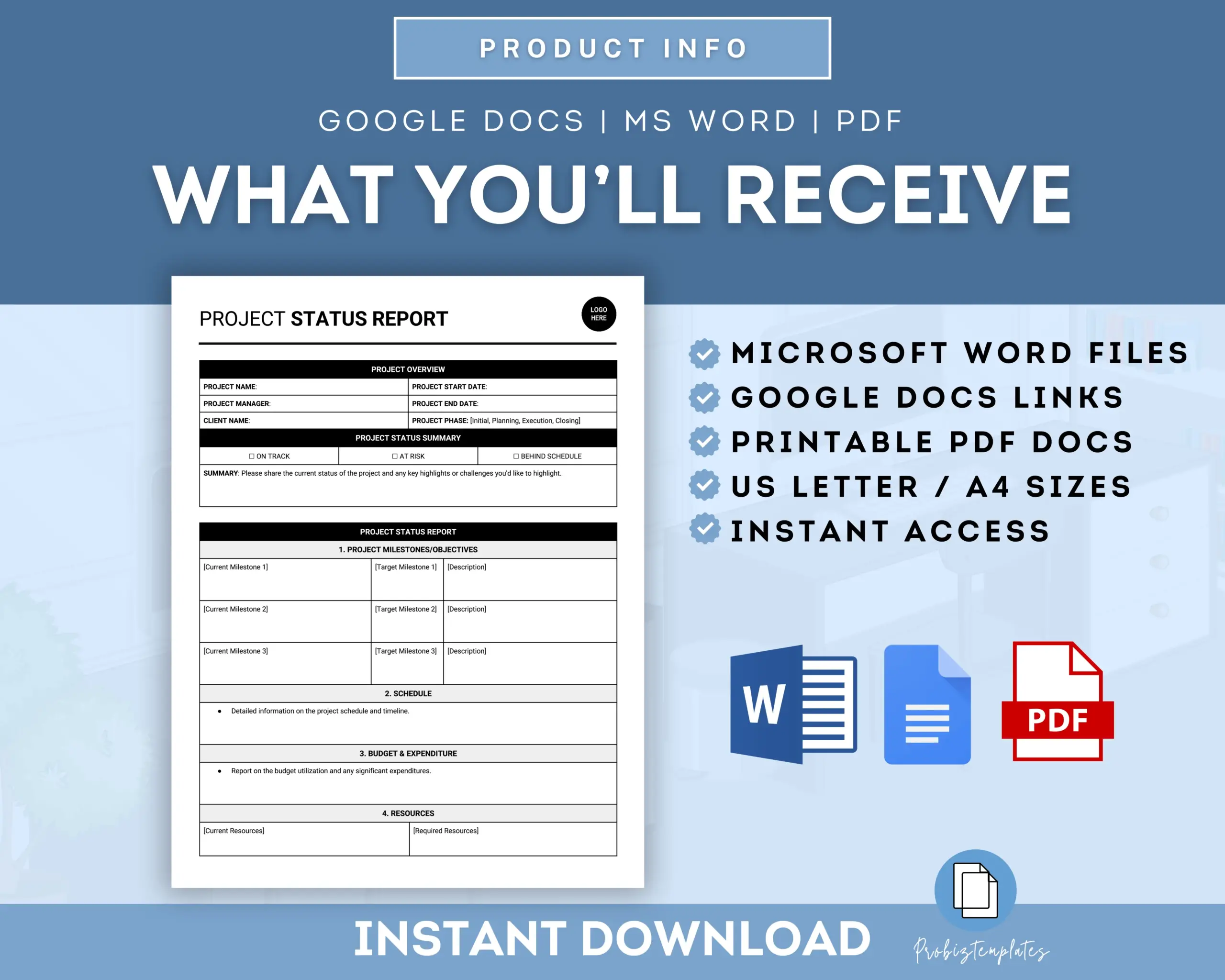 Project Status Report Template - Image 7