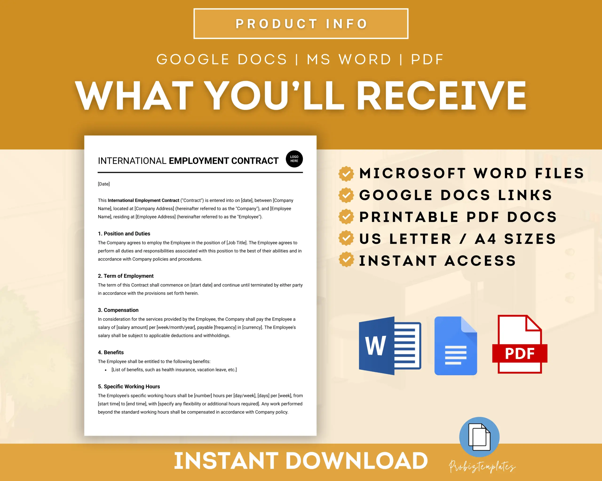 International Employment Contract Agreement Template - Image 7