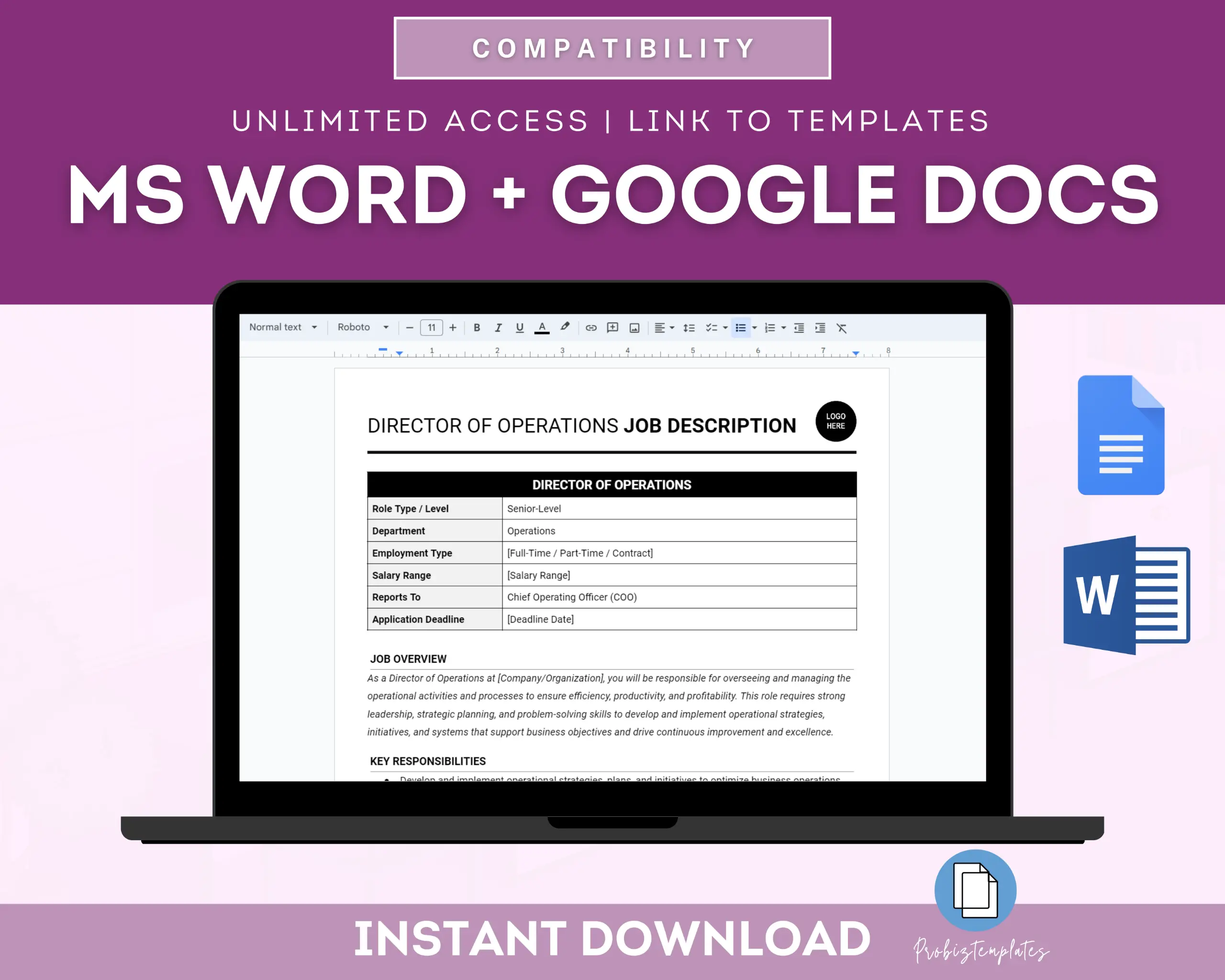Director Of Operations Job Description Template - Image 4