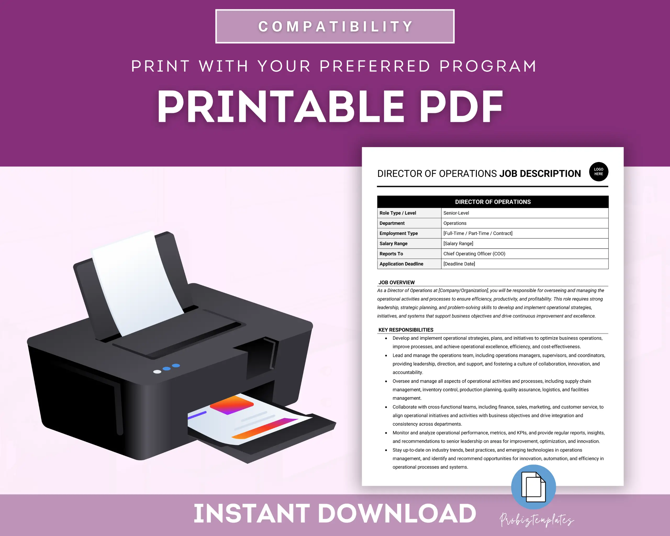 Director Of Operations Job Description Template - Image 5