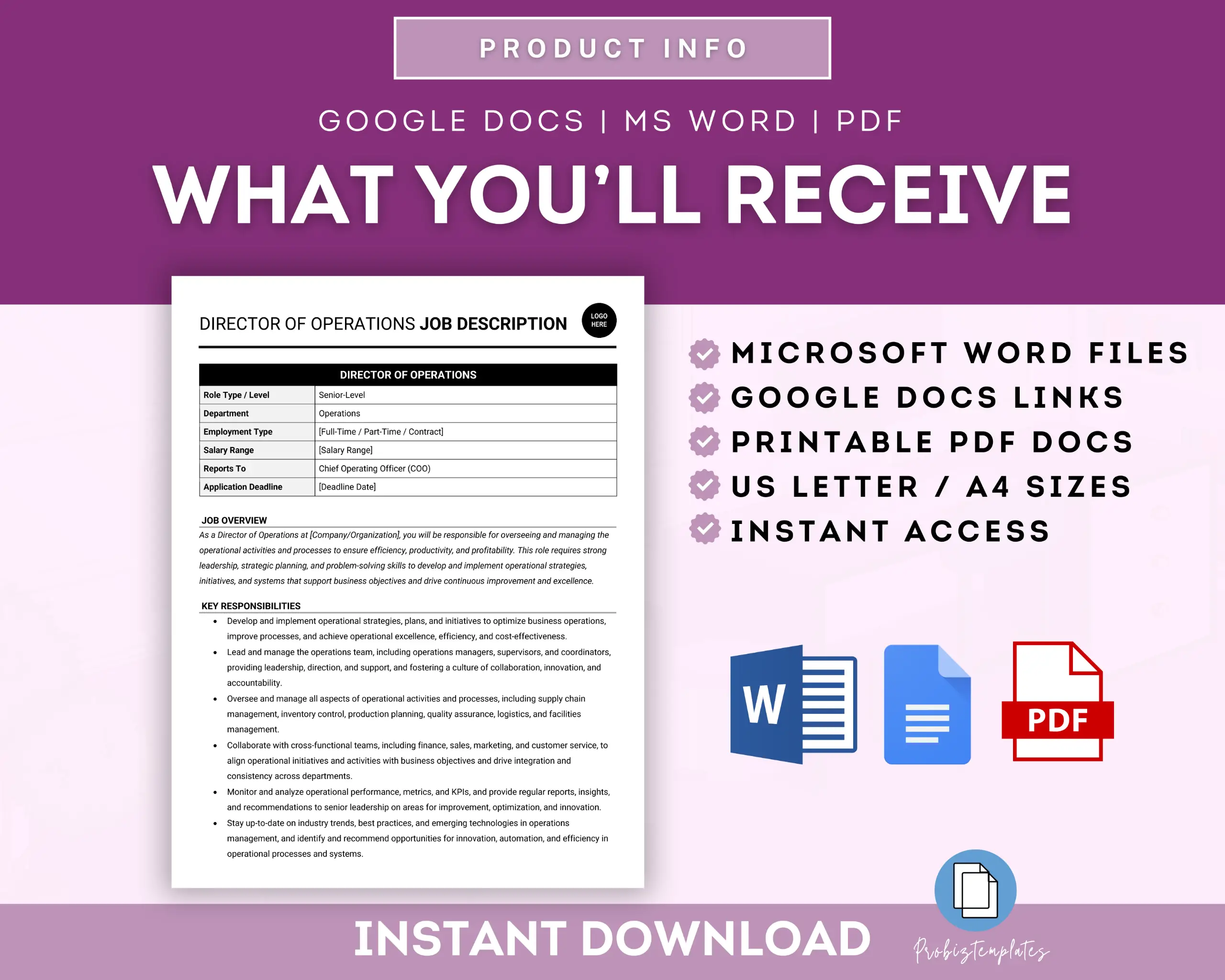 Director Of Operations Job Description Template - Image 6