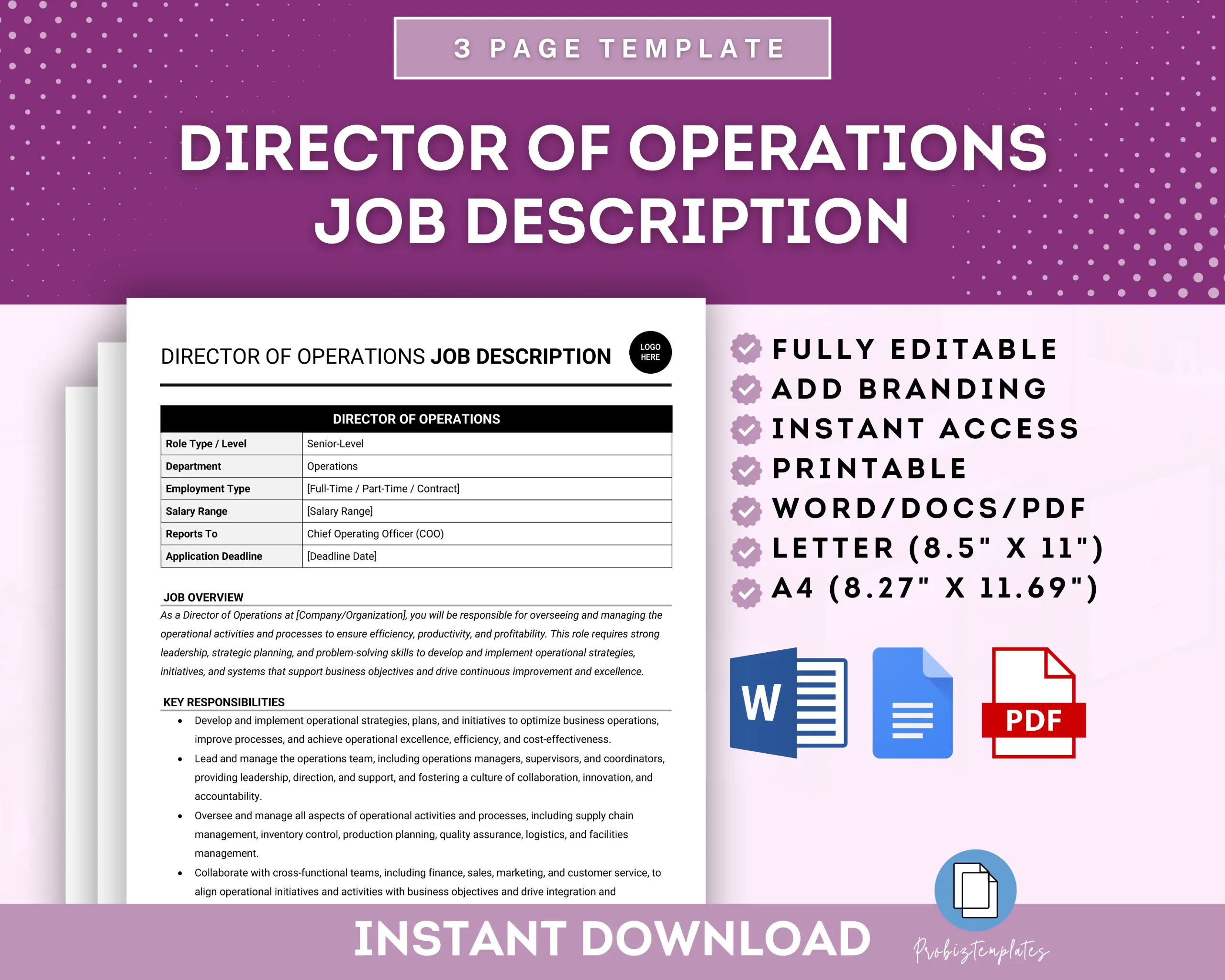 Director Of Operations Job Description Template