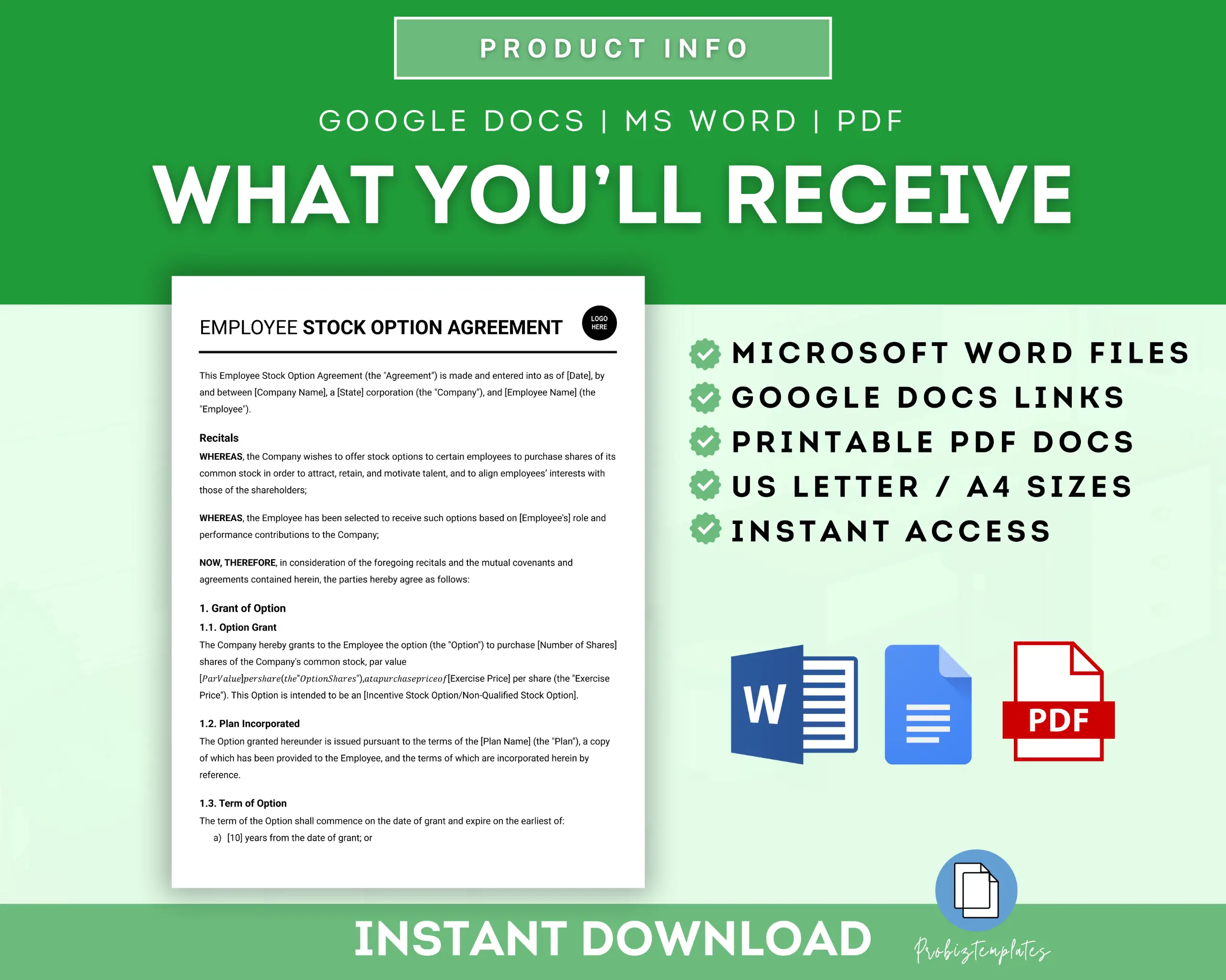 Employee Stock Option Agreement Template - Image 6