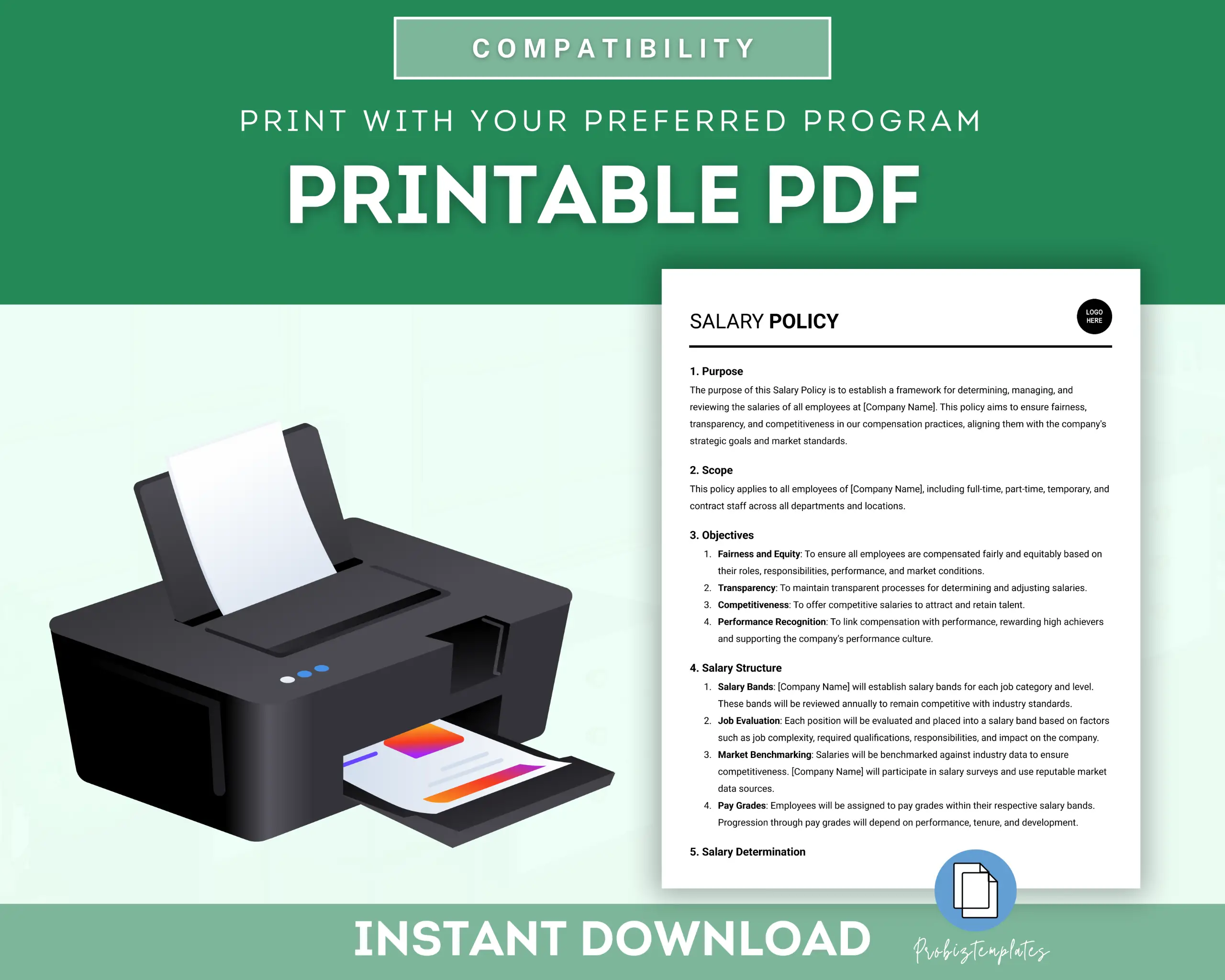 Salary Policy Template - Image 5