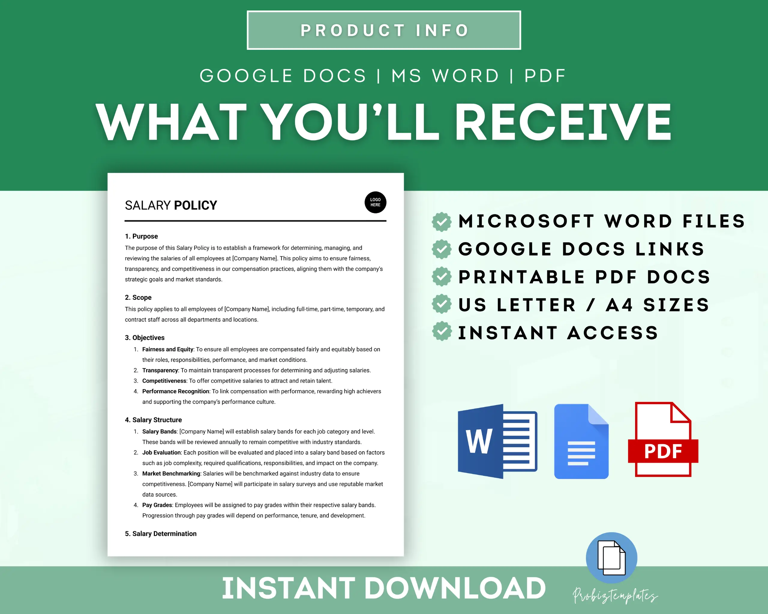 Salary Policy Template - Image 6